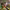 https://res.cloudinary.com/billionhands/image/upload/v1777280323/items/t4atsyrhkqcpjukropdx.jpg-1cover
