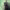 https://res.cloudinary.com/billionhands/image/upload/v1777283512/items/ovujmhmfyavqodrp0dh0.webp-0cover