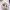https://res.cloudinary.com/billionhands/image/upload/v1777289264/items/ewc7lu5ffbw0dz23rtcy.jpg-2cover