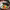 https://res.cloudinary.com/billionhands/image/upload/v1777289270/items/zczn6cymvopivfufa03w.jpg-1cover