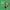 https://res.cloudinary.com/billionhands/image/upload/v1777296593/items/gkxhaylh0ojog4xbu3f7.jpg-2cover