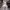 https://res.cloudinary.com/billionhands/image/upload/v1777300190/items/hz5cttzooqtwggivif6s.webp-1cover
