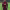 https://res.cloudinary.com/billionhands/image/upload/v1777302291/items/gtgomxfzygqolxaxrnus.webp-2cover