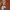 https://res.cloudinary.com/billionhands/image/upload/v1777304902/items/fwszkpgzryzng83i3lzt.webp-3cover