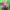 https://res.cloudinary.com/billionhands/image/upload/v1777319234/items/mmindyicxaulzed6bivo.jpg-1cover