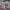 https://res.cloudinary.com/billionhands/image/upload/v1777320755/items/jw0svvorwjq74rwclcpa.jpg-0cover