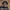 https://res.cloudinary.com/billionhands/image/upload/v1777333089/items/fyn1t1cc2oys2clc0hjq.webp-3cover
