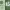 https://res.cloudinary.com/billionhands/image/upload/v1777333472/items/wn6epm5faqfvocrlja7a.png-0cover