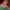 https://res.cloudinary.com/billionhands/image/upload/v1777334712/items/qq51suleiqiju7kpzqf8.webp-3cover