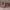 https://res.cloudinary.com/billionhands/image/upload/v1777335019/items/dzq14gexptuneodvkxoz.jpg-0cover
