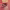 https://res.cloudinary.com/billionhands/image/upload/v1777335172/items/hi7ke0ebqaxnunmzrznj.jpg-2cover