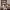 https://res.cloudinary.com/billionhands/image/upload/v1777338515/items/jvjunbcz4ptwbhpp7zhs.webp-3cover