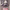 https://res.cloudinary.com/billionhands/image/upload/v1777338859/items/fc5hhuakw3sgdfo646pd.png-0cover