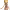 https://res.cloudinary.com/billionhands/image/upload/v1777338864/items/xe7zxsinjrbzgdgp5tw1.webp-1cover