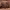 https://res.cloudinary.com/billionhands/image/upload/v1777342070/items/kazvopl7siociqcckdwe.webp-0cover