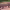 https://res.cloudinary.com/billionhands/image/upload/v1777342074/items/ophemtpmu5lllkt1ubuz.webp-3cover