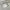 https://res.cloudinary.com/billionhands/image/upload/v1777342074/items/t2esgtdkkcau5at5faqg.webp-2cover