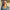 https://res.cloudinary.com/billionhands/image/upload/v1777343730/items/pygykjtq2m2tqevosvwj.webp-1cover