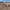 Best archaeological sites in the Valencian Community cover