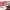 https://res.cloudinary.com/billionhands/image/upload/v1777346140/items/ivucbnzs3do8cse3g9ye.jpg-0cover