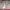 https://res.cloudinary.com/billionhands/image/upload/v1777346799/items/meo57qkwrmxpxq0vddo9.jpg-2cover