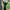 https://res.cloudinary.com/billionhands/image/upload/v1777346800/items/dzhoq66rypbclspdgnva.jpg-3cover