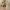 https://res.cloudinary.com/billionhands/image/upload/v1777352257/items/vaghgldncmd7m9ucn5ce.avif-2cover