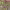 https://res.cloudinary.com/billionhands/image/upload/v1777352258/items/fislikzsfz8ac7y7hhrv.webp-0cover