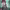 https://res.cloudinary.com/billionhands/image/upload/v1777354820/items/sifekwyfpfkuupurrlbr.jpg-0cover