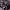 https://res.cloudinary.com/billionhands/image/upload/v1777364936/items/ko3733ozhgx9d4wf9dqi.jpg-0cover