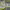 https://res.cloudinary.com/billionhands/image/upload/v1777366096/items/pgbvngbthww1m8zoafer.png-1cover