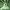 https://res.cloudinary.com/billionhands/image/upload/v1777366097/items/luzwdayvmzfkmrkdqdkr.webp-2cover