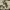 https://res.cloudinary.com/billionhands/image/upload/v1777387964/items/kmvfglutse2nkhmxegk0.jpg-1cover