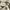 https://res.cloudinary.com/billionhands/image/upload/v1777387969/items/dq1mjoxkte8nvpzig7v9.jpg-3cover