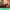 https://res.cloudinary.com/billionhands/image/upload/v1777393711/items/aywpfbgbbosq34q07n5i.webp-3cover