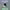 https://res.cloudinary.com/billionhands/image/upload/v1777395031/items/p8bpe4xahcs1nfnmxov4.jpg-2cover