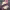 https://res.cloudinary.com/billionhands/image/upload/v1777399026/items/v9jvqpam0h5q3mkjlwcr.jpg-0cover