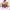 https://res.cloudinary.com/billionhands/image/upload/v1777399033/items/izgblzkuruqwmvmq0mpl.jpg-0cover