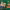 https://res.cloudinary.com/billionhands/image/upload/v1777399578/items/ycliqrgievi2avwkxtlf.jpg-2cover