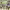 3-hour Valley and Hills Ride (Aventura Colchagua) cover