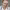 Sergey Burunov (Top Celebrity) cover
