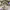 https://res.cloudinary.com/billionhands/image/upload/v1777406213/items/ruimny1xmvkidvnylvdh.jpg-2cover
