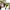 https://res.cloudinary.com/billionhands/image/upload/v1777406458/items/d6lhatprtkfzpc3jscfy.webp-3cover