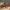 https://res.cloudinary.com/billionhands/image/upload/v1777411532/items/enpd4qewj0ufy1p9hhpd.jpg-3cover