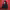 https://res.cloudinary.com/billionhands/image/upload/v1777415662/items/bqyb64ujzz63lcc2psd8.jpg-1cover