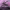 https://res.cloudinary.com/billionhands/image/upload/v1777415665/items/s5xqeegxyxqljnacuc0v.jpg-2cover