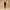 https://res.cloudinary.com/billionhands/image/upload/v1777416349/items/fzxorlg4fmiz30td1gnj.jpg-0cover