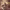 https://res.cloudinary.com/billionhands/image/upload/v1777416819/items/ecyrlhssmxxqa0mh1g00.jpg-2cover