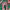 https://res.cloudinary.com/billionhands/image/upload/v1777417818/items/wccezwlz0jbnrlqbzagy.jpg-2cover