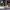 https://res.cloudinary.com/billionhands/image/upload/v1777417821/items/xzgkxob3bpr8zrdatcsx.webp-3cover